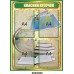 Комплект стендів з географії "Світ"